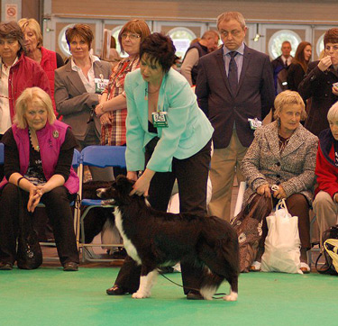 Jo at Crufts